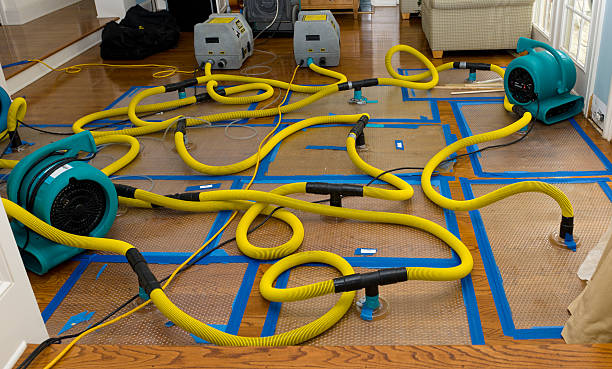 Professional Water Damage Repair technician working in Kenilworth, NJ
